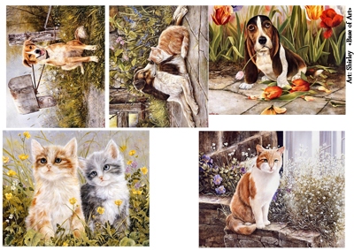 Декупажные карты Base of Art,Shirley Deaville, кошки и собаки, купить